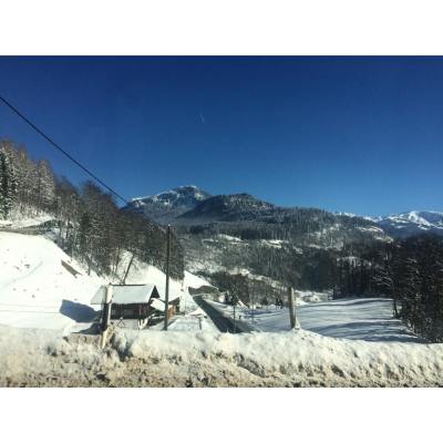 10913443_844636928892390_160156767_n