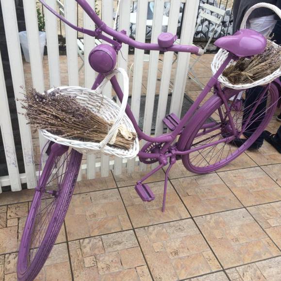 11100508_913677335321682_778157759_n