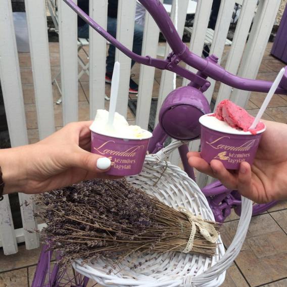 11292994_913677331988349_1354052662_n