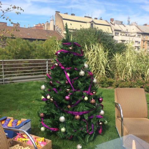 12076978_976372029052212_1596405820_n