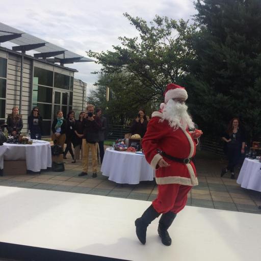 12087428_976371862385562_576349669_n