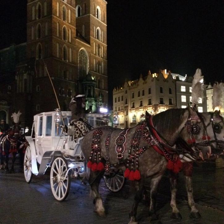 12165718_982603515095730_767028126_n