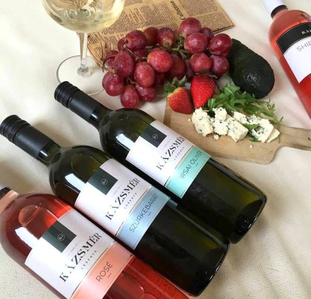 13023399_1081446958544718_876942460_n