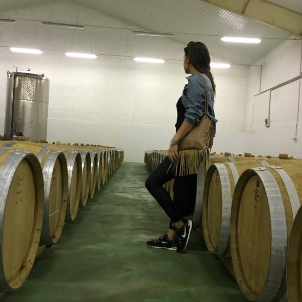 13072201_1081443418545072_2028012450_o(1)