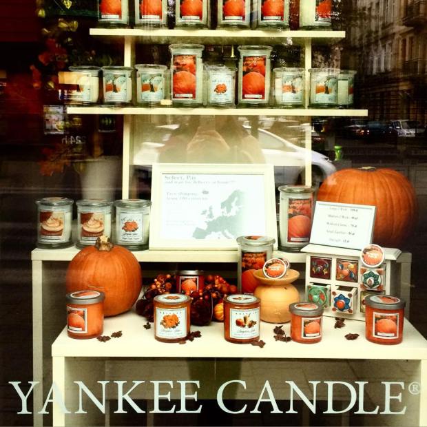 12165878_982603771762371_869436552_n