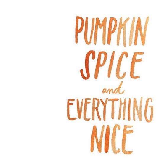 14442736_1185577461465000_176682096_n